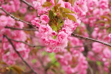 温州苍南9线下个人借款平台一站式服务，轻松解决资金难题