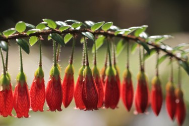 温州苍南9零用贷短借：轻松解决临时资金需求