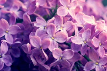 温州苍南9企业急用钱贷款攻略：快速融资解燃眉之急